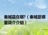 秦城縣在哪?（秦城是哪里簡(jiǎn)介介紹）