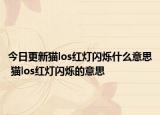今日更新貓los紅燈閃爍什么意思 貓los紅燈閃爍的意思
