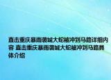 直擊重慶暴雨襲城大蛇被沖到馬路詳細(xì)內(nèi)容 直擊重慶暴雨襲城大蛇被沖到馬路具體介紹