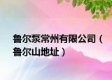 魯爾泵常州有限公司（魯爾山地址）