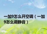 一加9怎么開(kāi)空調(diào)（一加9怎么調(diào)靜音）