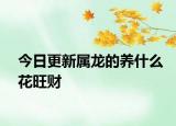 今日更新屬龍的養(yǎng)什么花旺財