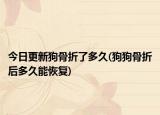 今日更新狗骨折了多久(狗狗骨折后多久能恢復(fù))