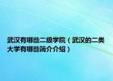 武漢有哪些二級(jí)學(xué)院（武漢的二類(lèi)大學(xué)有哪些簡(jiǎn)介介紹）