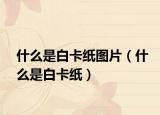 什么是白卡紙圖片（什么是白卡紙）