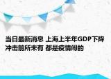 當日最新消息 上海上半年GDP下降沖擊前所未有 都是疫情鬧的