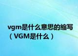 vgm是什么意思的縮寫（VGM是什么）
