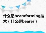 什么是beamforming技術(shù)（什么是bearer）