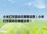 小米打字震動在哪里設(shè)置（小米打字震動在哪里設(shè)置）