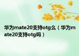 華為mate20支持otg么（華為mate20支持otg嗎）