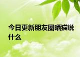 今日更新朋友圈曬貓說什么