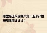 哪里是玉米的原產(chǎn)地（玉米產(chǎn)地在哪里簡介介紹）