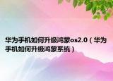 華為手機(jī)如何升級鴻蒙os2.0（華為手機(jī)如何升級鴻蒙系統(tǒng)）