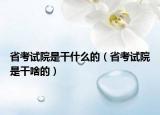 省考試院是干什么的（省考試院是干啥的）