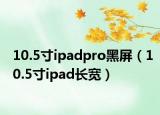 10.5寸ipadpro黑屏（10.5寸ipad長寬）