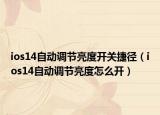 ios14自動(dòng)調(diào)節(jié)亮度開關(guān)捷徑（ios14自動(dòng)調(diào)節(jié)亮度怎么開）