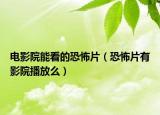 電影院能看的恐怖片（恐怖片有影院播放么）