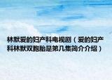 林默愛的婦產(chǎn)科電視?。◥鄣膵D產(chǎn)科林默雙胞胎是第幾集簡介介紹）