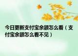 今日更新支付寶余額怎么看（支付寶余額怎么看不見）