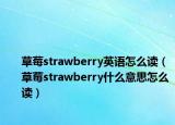 草莓strawberry英語怎么讀（草莓strawberry什么意思怎么讀）