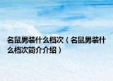 名鼠男裝什么檔次（名鼠男裝什么檔次簡介介紹）
