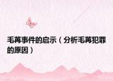 毛苒事件的啟示（分析毛苒犯罪的原因）