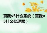 真我v5什么系統(tǒng)（真我v5什么處理器）