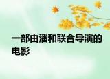 一部由潘和聯(lián)合導(dǎo)演的電影