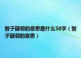 智子疑鄰的意思是什么50字（智子疑鄰的意思）