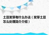 土豆發(fā)芽有什么辦法（發(fā)芽土豆怎么處理簡(jiǎn)介介紹）