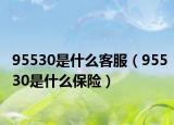 95530是什么客服（95530是什么保險）