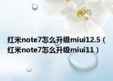 紅米note7怎么升級(jí)miui12.5（紅米note7怎么升級(jí)miui11）