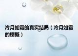 冷月如霜的真實(shí)結(jié)局（冷月如霜的梗概）