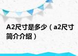 A2尺寸是多少（a2尺寸簡介介紹）