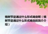 植樹節(jié)是通過什么形式確定呢（植樹節(jié)是通過什么形式確定的簡介介紹）