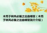 木秀于林風(fēng)必摧之出自哪里（木秀于林風(fēng)必摧之出自哪里簡(jiǎn)介介紹）