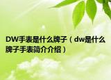DW手表是什么牌子（dw是什么牌子手表簡(jiǎn)介介紹）