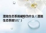 濕地生態(tài)系統(tǒng)被稱為什么（濕地生態(tài)系統(tǒng)\
