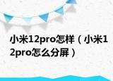 小米12pro怎樣（小米12pro怎么分屏）
