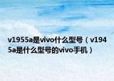 v1955a是vivo什么型號(hào)（v1945a是什么型號(hào)的vivo手機(jī)）