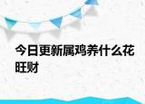 今日更新屬雞養(yǎng)什么花旺財(cái)