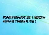 虎頭獒和獅頭獒對比照（藏獒虎頭和獅頭哪個厲害簡介介紹）