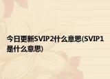 今日更新SVIP2什么意思(SVIP1是什么意思)