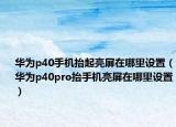 華為p40手機(jī)抬起亮屏在哪里設(shè)置（華為p40pro抬手機(jī)亮屏在哪里設(shè)置）