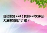 自動(dòng)恢復(fù) asd（找到asd文件但無法恢復(fù)簡(jiǎn)介介紹）