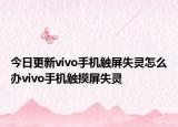 今日更新vivo手機觸屏失靈怎么辦vivo手機觸摸屏失靈