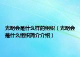 光明會是什么樣的組織（光明會是什么組織簡介介紹）