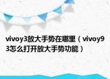 vivoy3放大手勢在哪里（vivoy93怎么打開放大手勢功能）