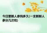 今日更新人參燉多久(一支新鮮人參分幾次吃)