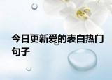 今日更新愛的表白熱門句子